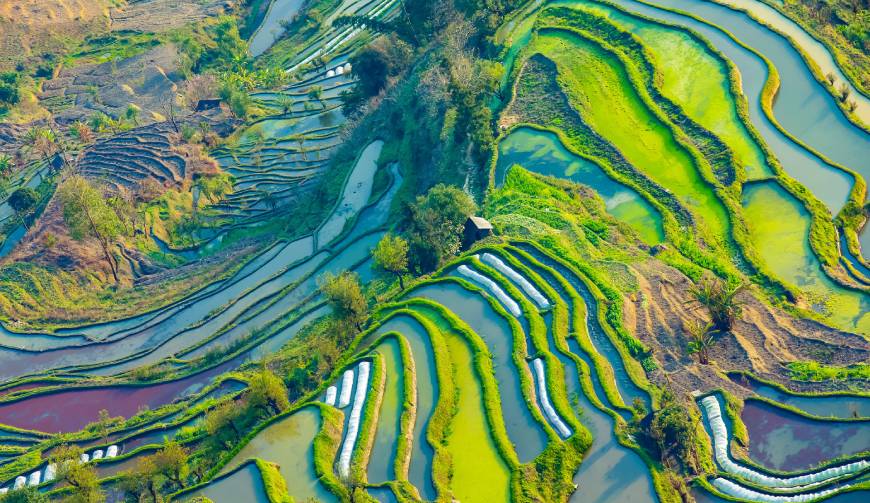宝妈必备神器：逊克县产品视频拍摄轻松育儿好帮手