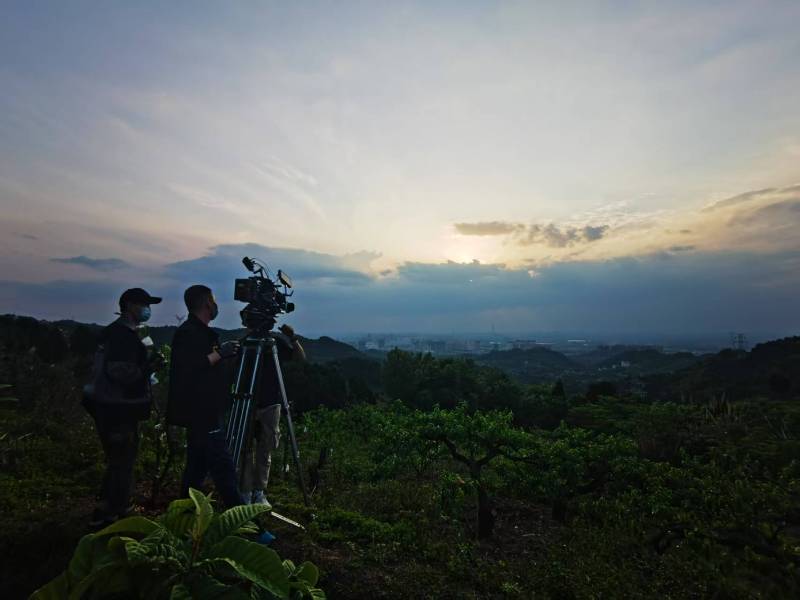 聚焦逊克县产品宣传视频拍摄公司，用专业实力铸就品牌传播传奇